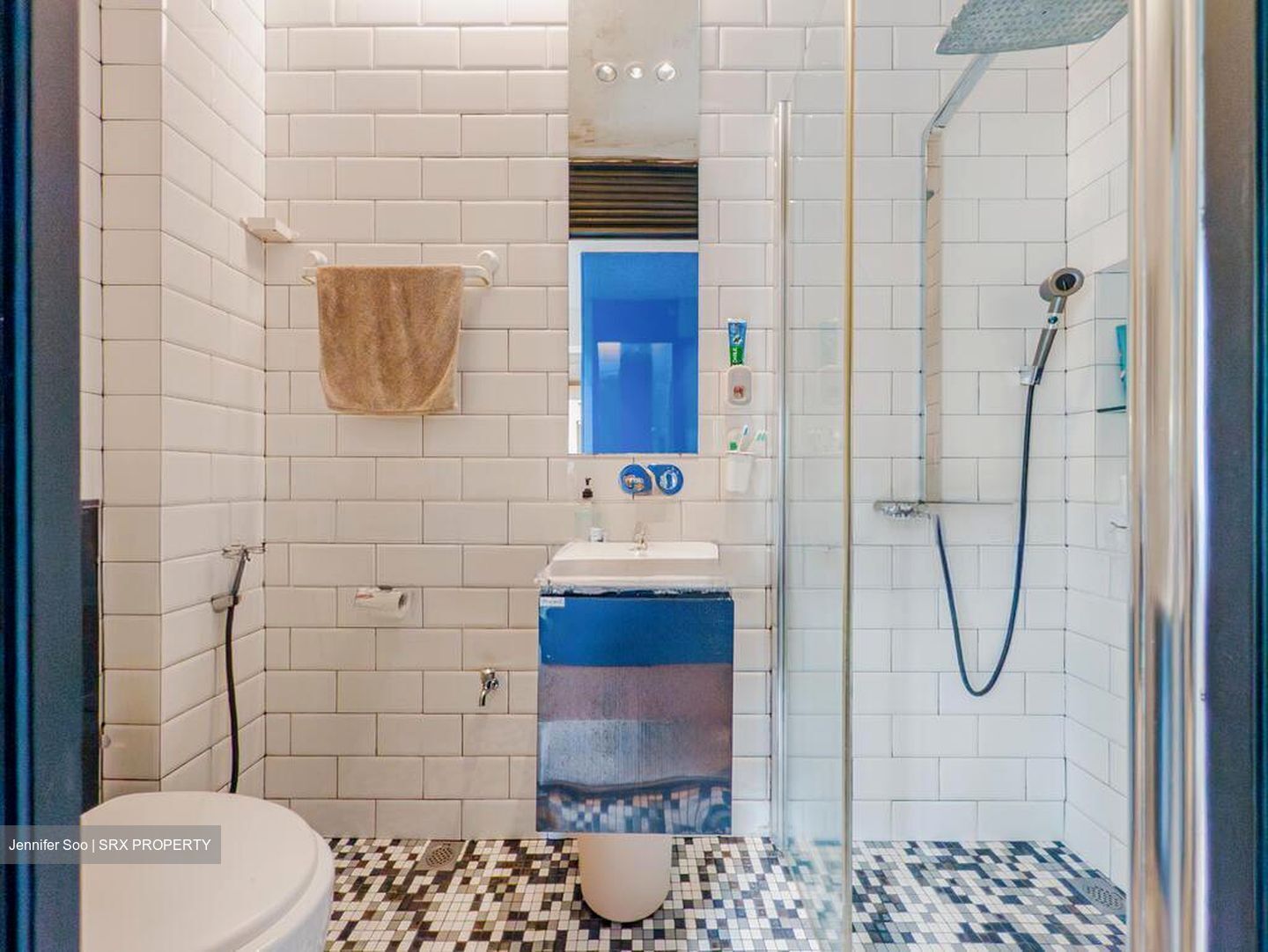 Clementi Park (D21), Condominium #504594901